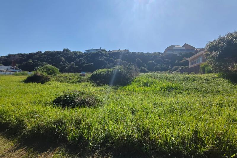 0 Bedroom Property for Sale in Outeniqua Strand Western Cape